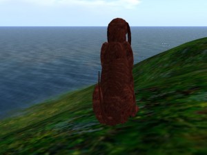 Joey looking out to sea