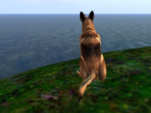 Lorelei looking out to sea