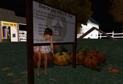 cazaluff_stuck_in_Park_sign_01