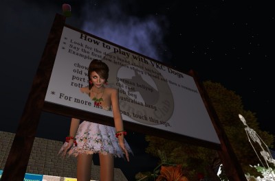 cazaluff_stuck_in_Park_sign_02