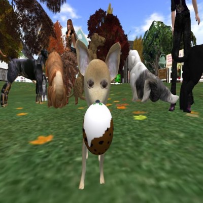 its_still_MY_pudding its_still_MY_pudding
