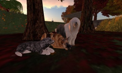 vkc_dog-parks-page vkc_dog-parks-page