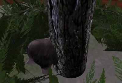 doolittle_in_tree_01