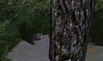 doolittle_in_tree_02