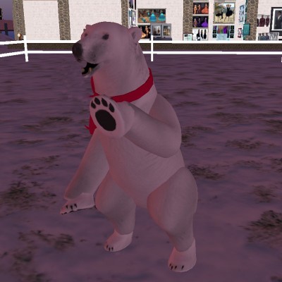 vkc_polar_bear_03